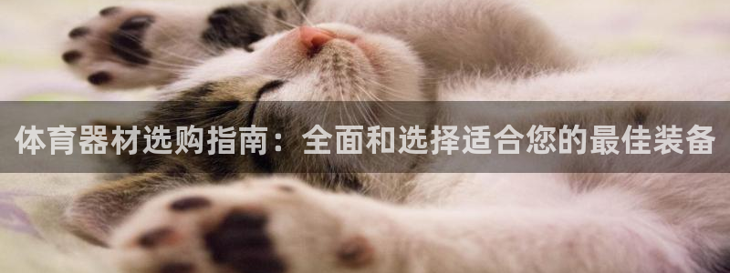 极悦平台股东是谁：体育器材选购指南：全面和选择适合您