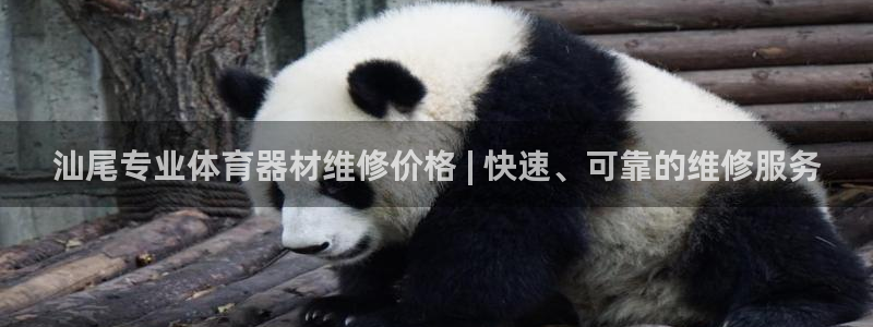 极悦娱乐公司最新招聘信息电话：汕尾专业体育器材维修价