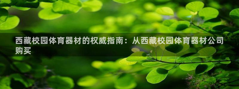 极悦平台注册太7.0.2.4怎么解决：西藏校园体育器