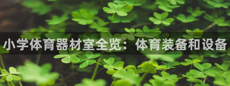 极悦平台有风险吗知乎：小学体育器材室全览：体育装备和