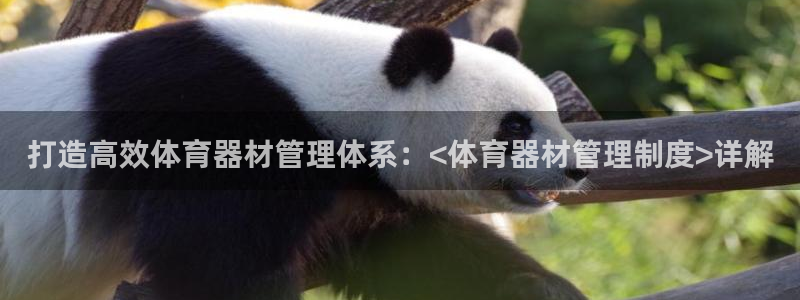极悦平台注册登录入口网址：打造高效体育器材管理体系：<体育器