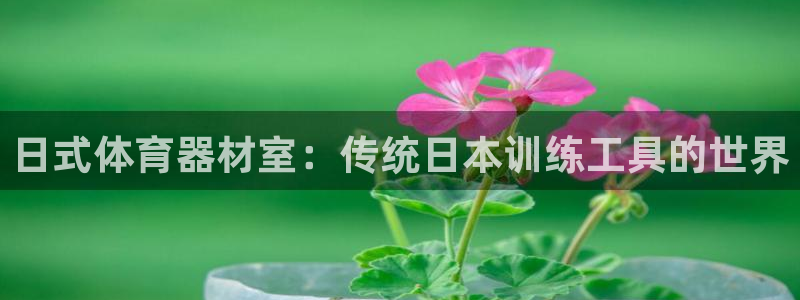 极悦平台注册：日式体育器材室：传统日本训练工具的世界