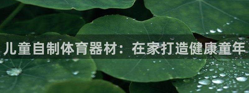 极悦平台平台注册方法与步骤图：儿童自制体育器材：在家