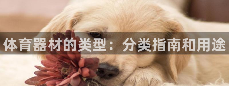 极悦娱乐官网入口：体育器材的类型：分类指南和用途