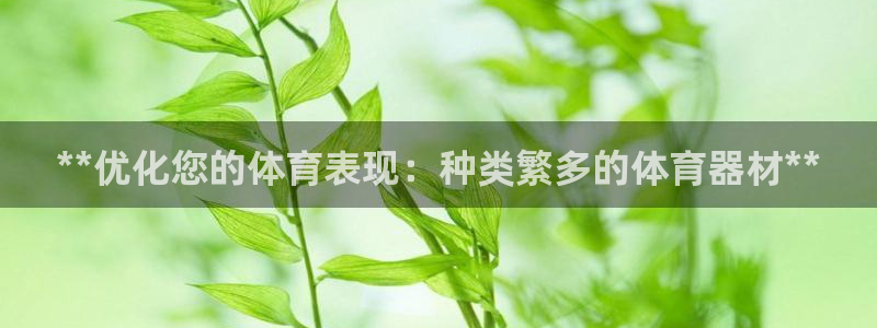 极悦平台注册官网网址：**优化您的体育表现：种类繁多