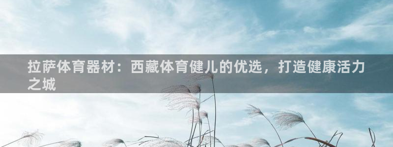 极悦平台注册和登录页面一样吗：拉萨体育器材：西藏体育