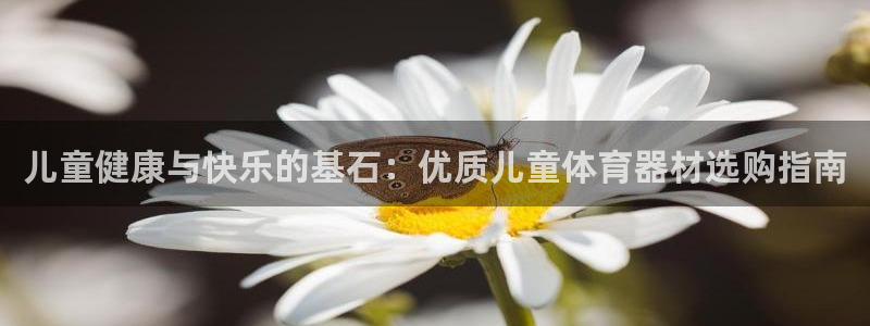 极悦平台注册用户名格式是什么：儿童健康与快乐的基石：