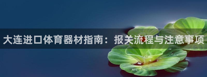 极悦平台保7O777：大连进口体育器材指南：报关流程