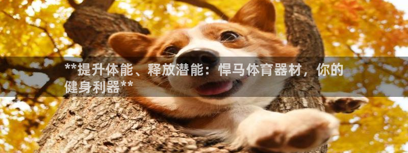 极悦平台注册官方网站下载安装手机版：**提升体能、释