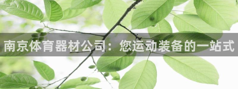 石家庄极悦空间设计有限公司：南京体育器材公司：您运动
