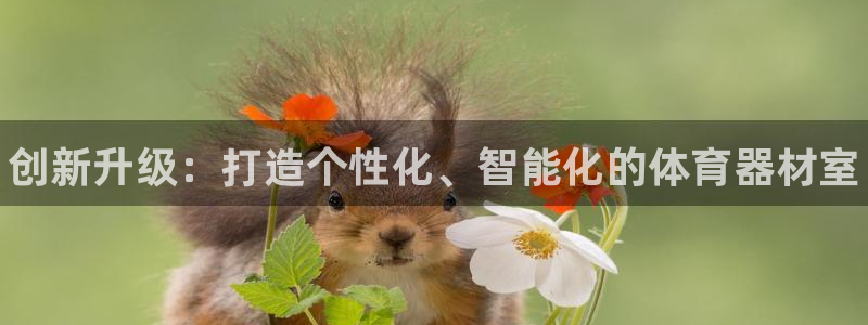 石家庄极悦空间设计有限公司：创新升级：打造个性化、智能化的体