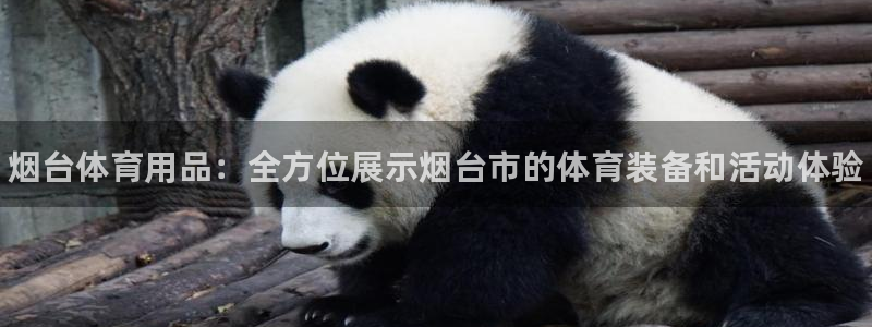 极悦平台用户评价：烟台体育用品：全方位展示烟台市的体