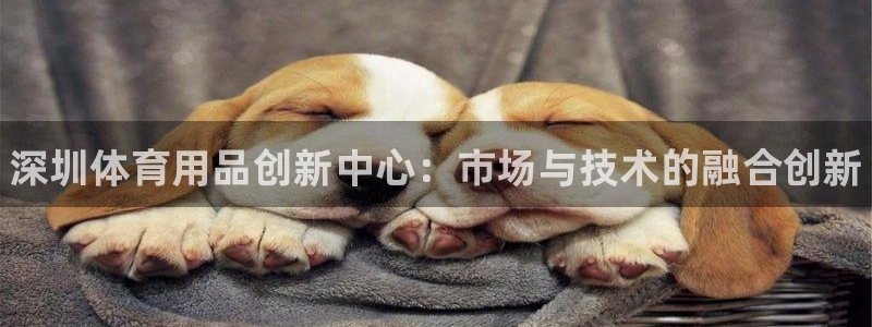 极悦娱乐官网下载：深圳体育用品创新中心：市场与技术的