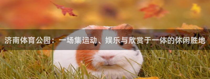 极悦平台好7.0.2.4怎么样：济南体育公园：一场集