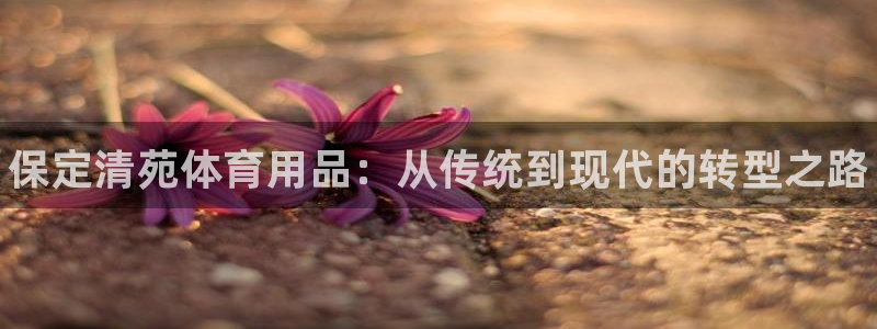 极悦平台注册登录入口在哪：保定清苑体育用品：从传统到