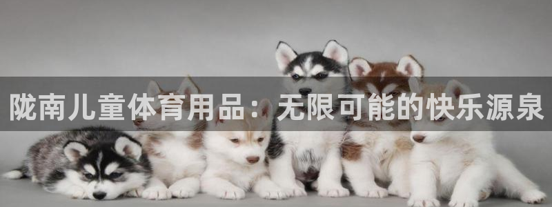 极悦平台官方网址是多少：陇南儿童体育用品：无限可能的