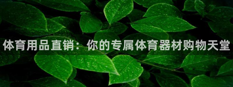 极悦平台注册用户名验证失败：体育用品直销：你的专属体育器材购