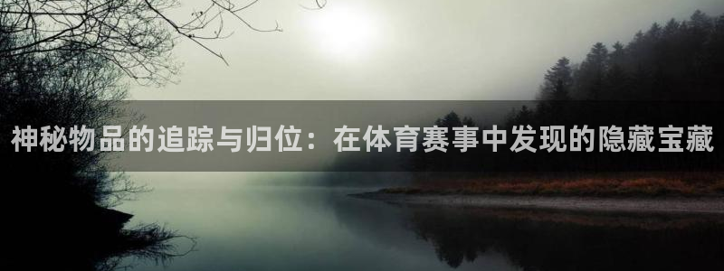 极悦官方网站入口网址：神秘物品的追踪与归位：在体育赛事中发现