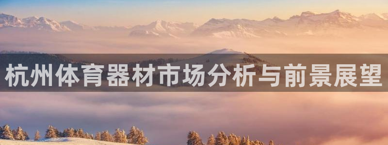 极悦平台注册登录不了：杭州体育器材市场分析与前景展望