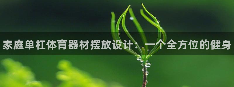 极悦平台客服投诉电话是多少号：家庭单杠体育器材摆放设计：一个